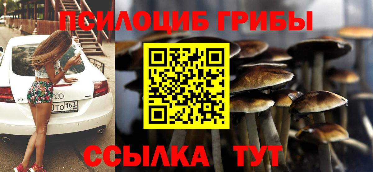 Псилоцибиновые грибы Cubensis Белебей