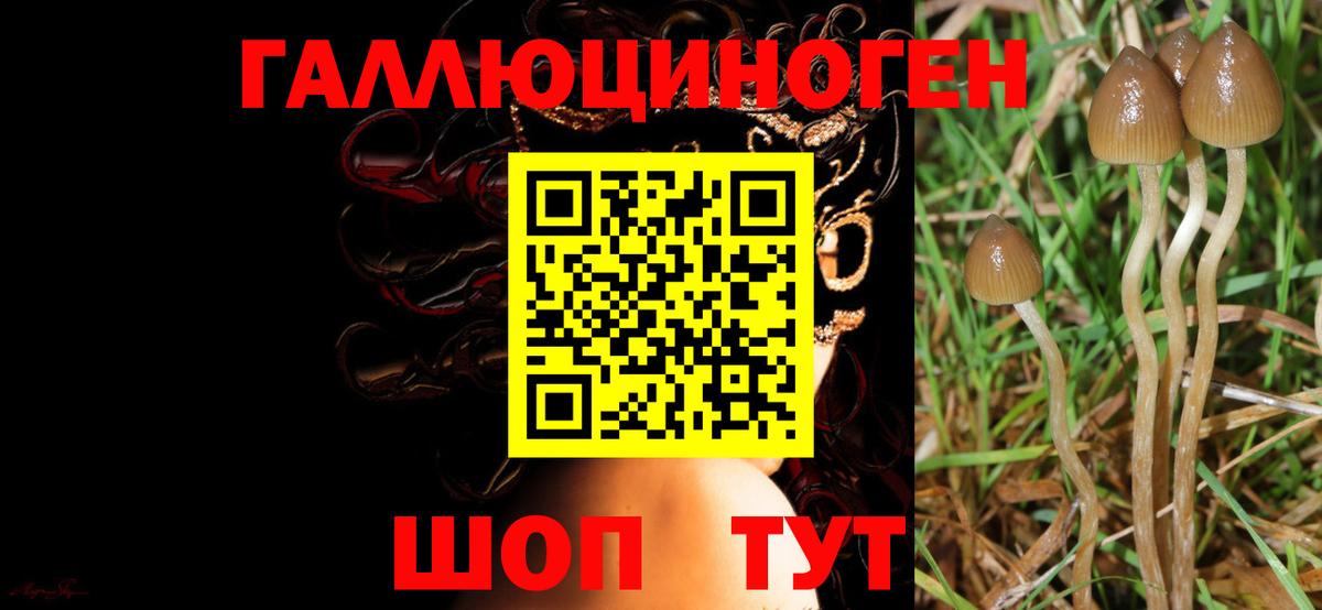 Псилоцибиновые грибы мицелий  Вход с VPN  Белебей 